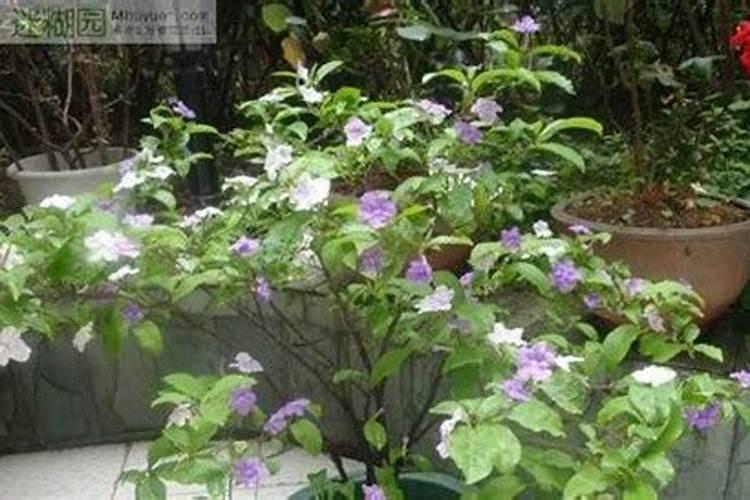 说海洋里聚了哪些宝？我们应该怎样保护、珍惜这个聚宝盆呢