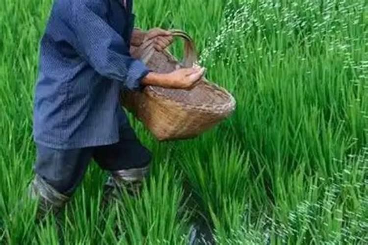 氮磷钾肥料的作用