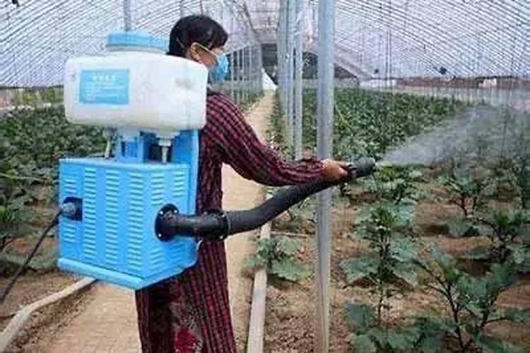 泰丰营养快现腐植酸水溶肥料可以浇花使用吗？
