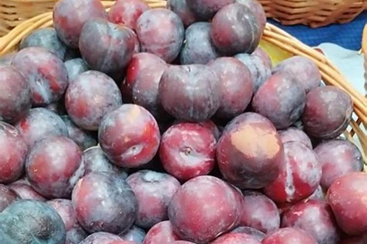 李子怎么施肥长得快？李子施什么肥增甜上传靓果？