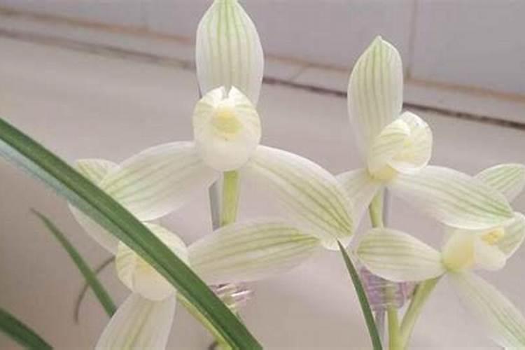 含钾与含铵土壤的区别