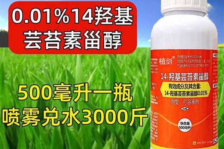 一亩地种几斤黄豆种