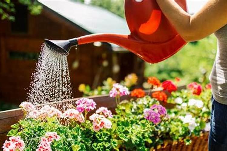 苹果树应该在什么时间追肥