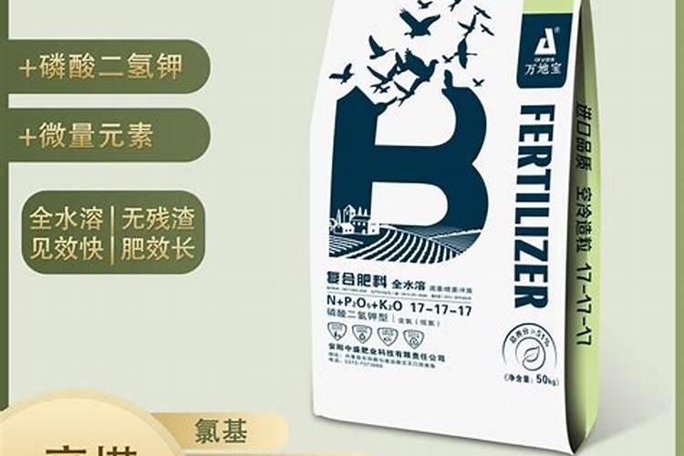 6月份可以给兰花施肥吗