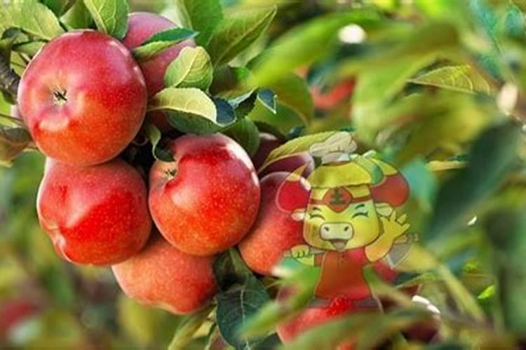 艳阳天复合肥批发价110元一袋100斤的,可能吗？是真的吗？