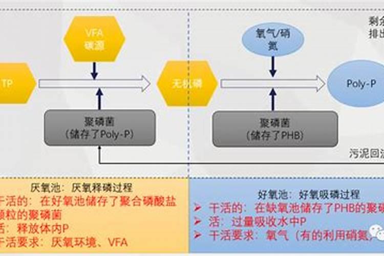 韭菜农药残留怎么去除