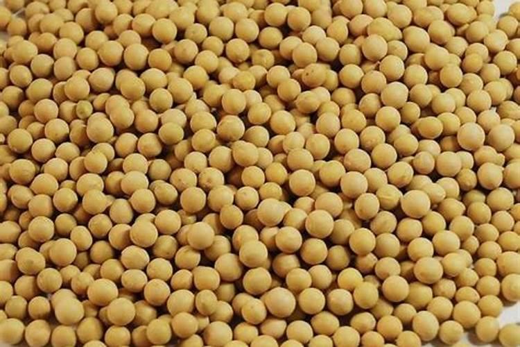 农业用硒粉厂家