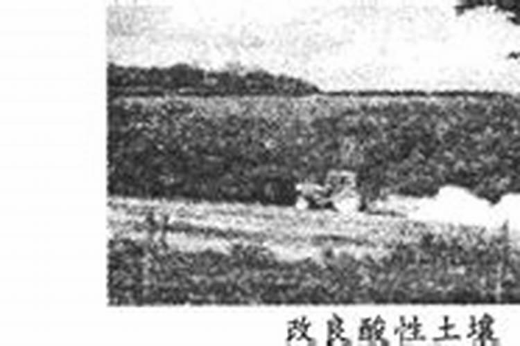 平衡水溶肥配方