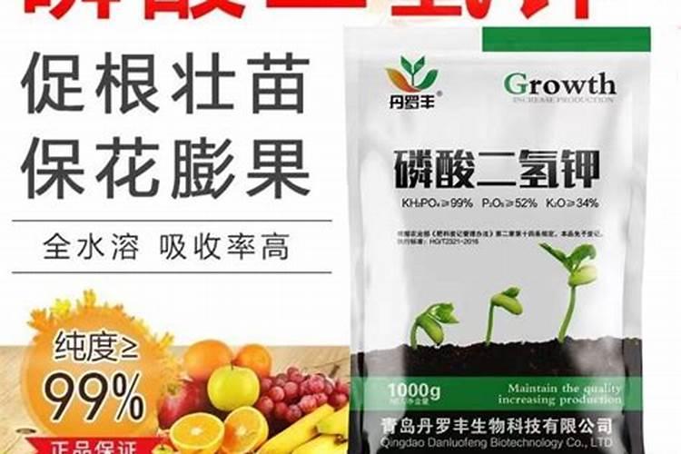 磷肥多长时间施一次,对植物有什么效果,可以撒施吗