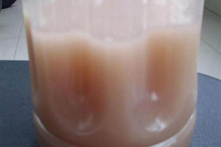 海藻肥是什么肥？了解海藻肥的作用