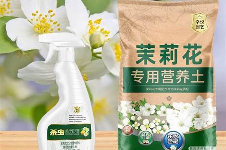 烂水果可以发酵做肥料吗