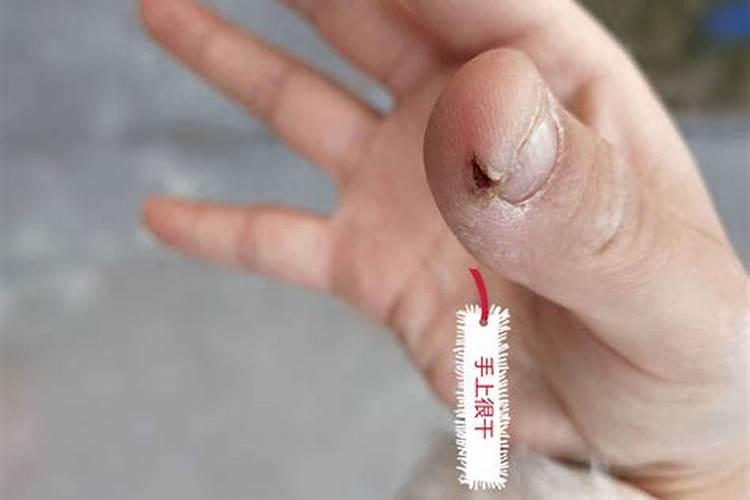 含镁最高的水果排行榜 含镁高的水果排行表