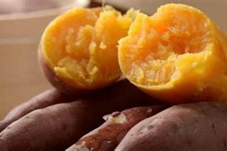 苹果树上什么肥料好