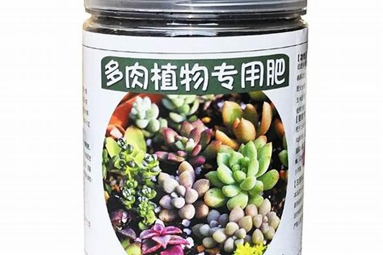 梨树什么时候打药最好,打什么药好