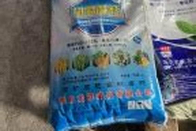 玫瑰老桩不长根怎么办