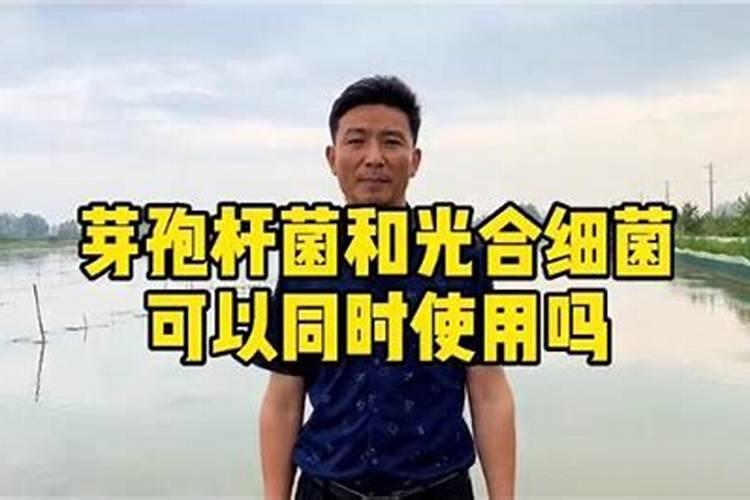 用了枯草芽孢杆菌多久能用肥水啊