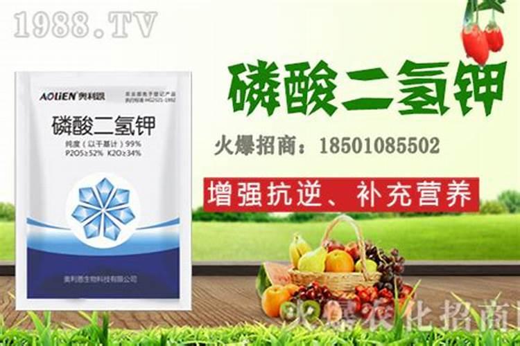 吡唑醚菌酯与芸苔素内酯合用在蔬菜生产上有什么效果？