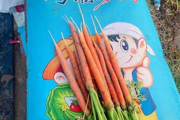 氮气无色无味,为什么氮肥有刺激性气味