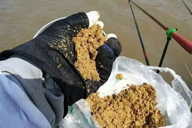 褐藻多糖和褐藻寡糖的区别