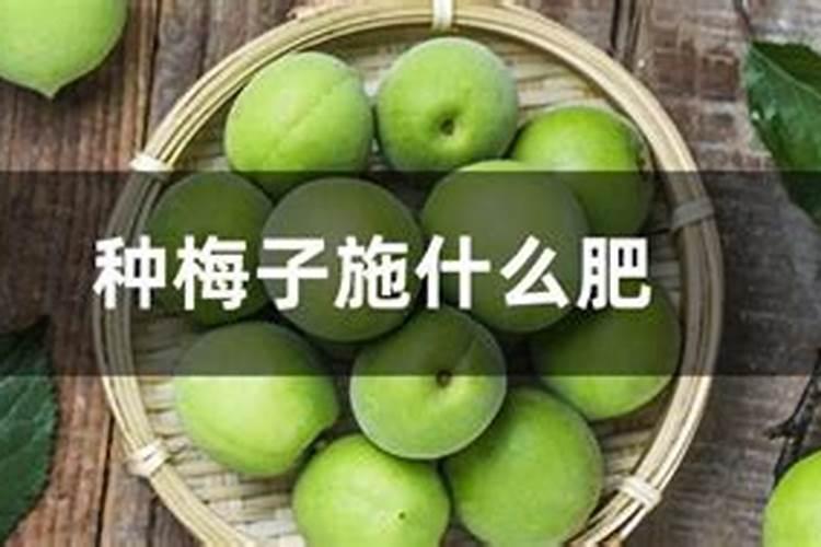 玉米打灌浆期打磷酸二氢钾可以加吡唑醚菌酯吗