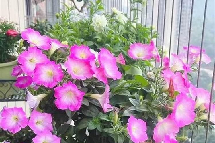 什么食物含钠低