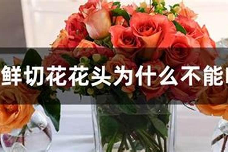 请教为何开花的时候不能施肥 为什么开花的时候不能施肥