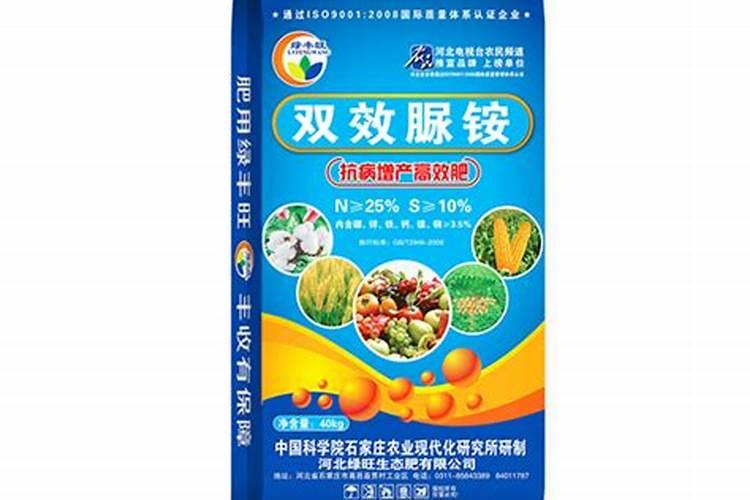 我的五瓣梅为什么好好的叶子就黄了？