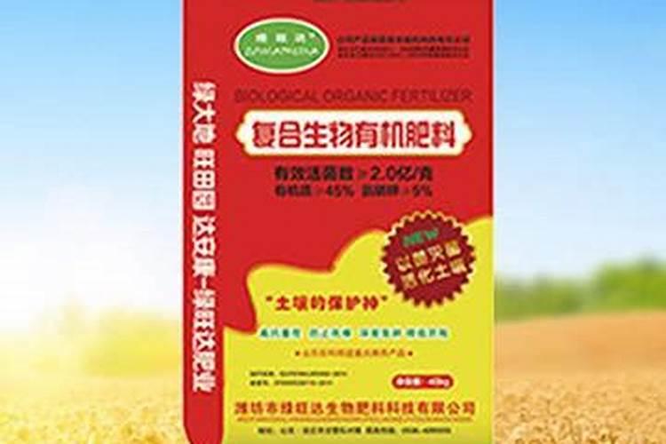 如何种植橙树,橙子树怎么种植才能高产