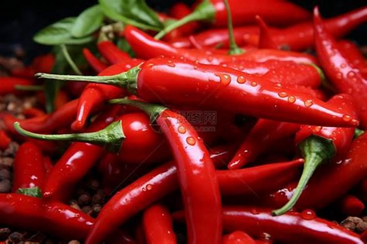 甜瓜打什么叶面肥最好？甜瓜施肥时间及方法？