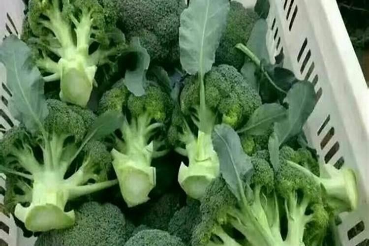 水肥可以打叶面肥吗