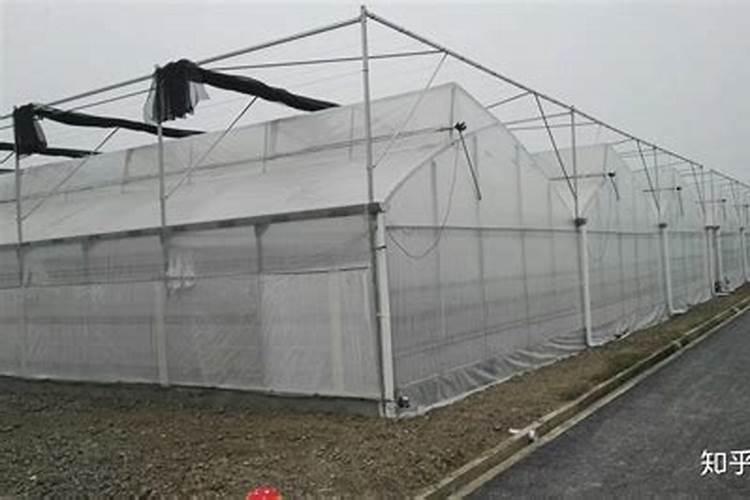 磷钾肥的科学施用方法总结