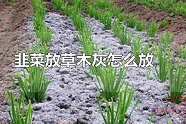 ...可以结果的,我想知道果实有什么用,可以吃吗？我种花是用来煮汤的...