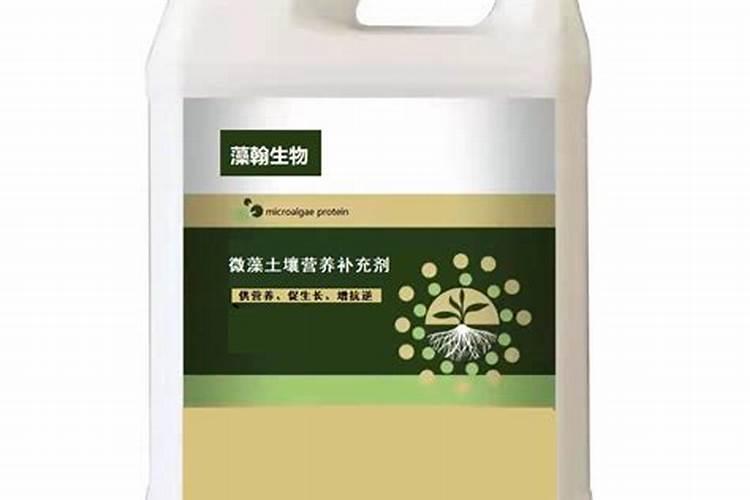 请教蓝藻处理最佳方案