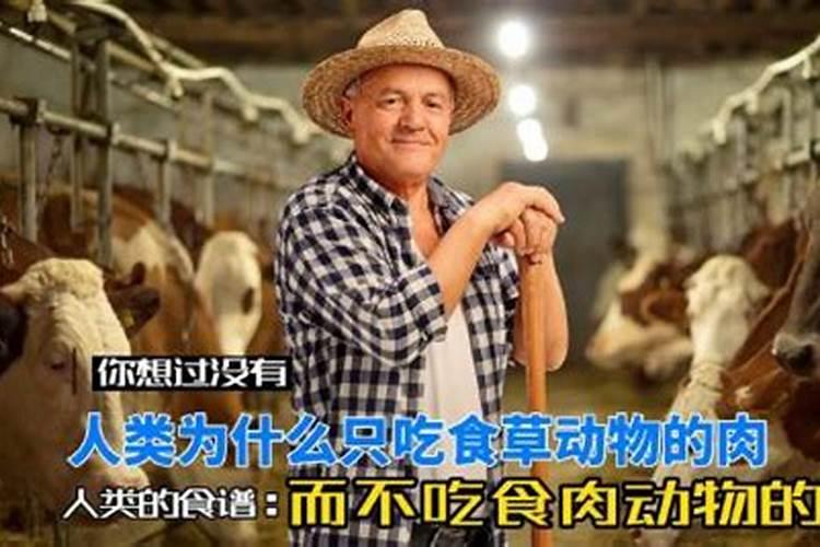 动物粪便哪种更接近磷肥