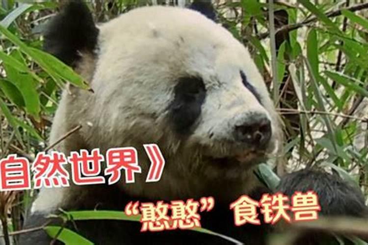 磷肥是什么肥料