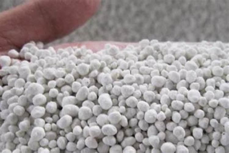 兰花进口氮肥有哪些