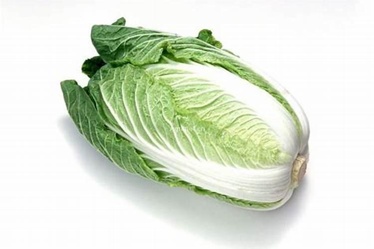 大白菜可以用尿素追肥吗(怎样给大白菜追尿素的正确方法)