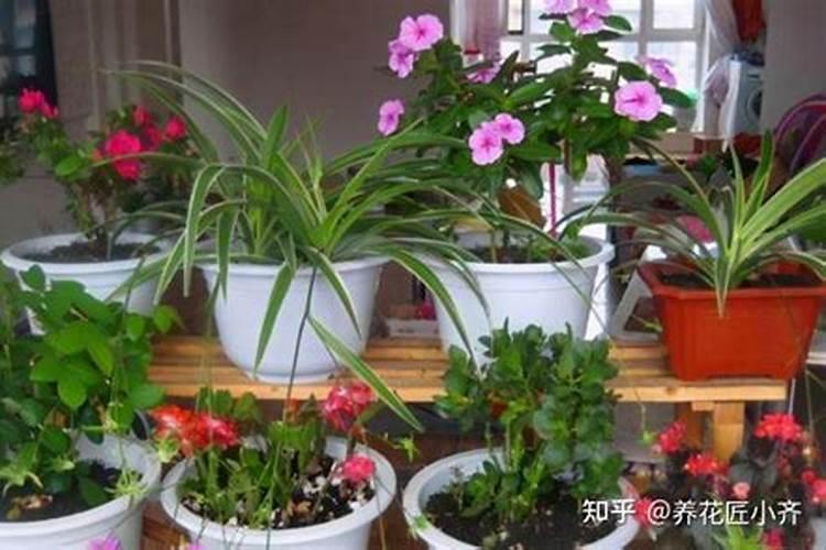 怎样配制营养液？