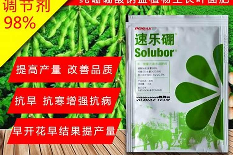 硼肥有哪些