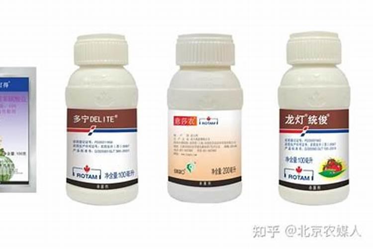 洋葱软腐病的主要症状是什么？如何防治洋葱软腐病？