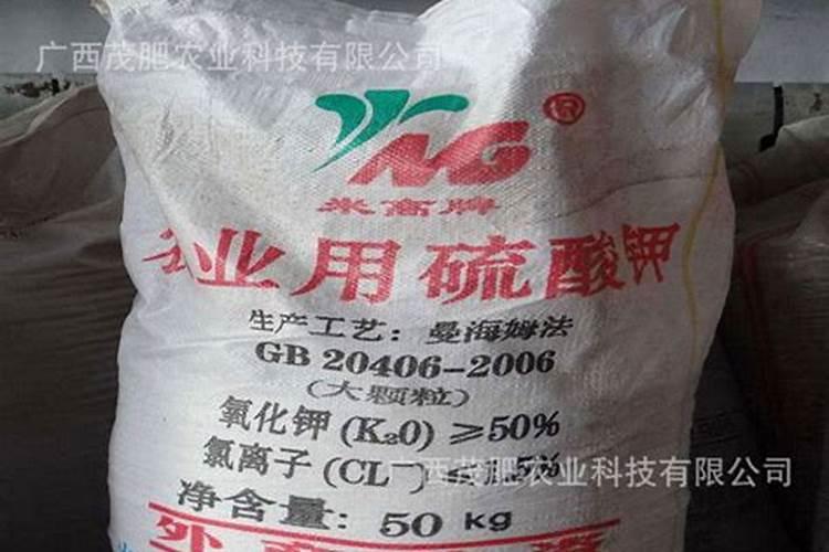 我想炒股
