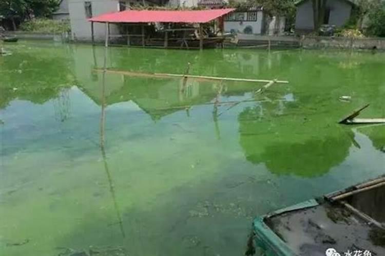 钾肥和硼肥哪个膨大块根效果明显