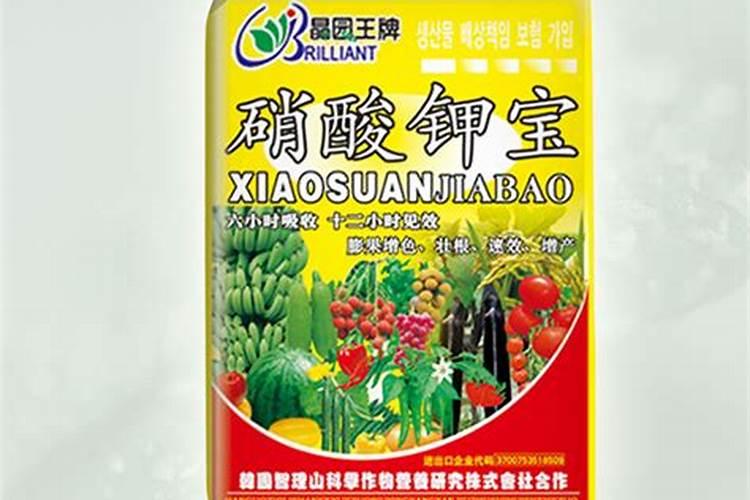 绿叶宝可以兑水浇花吗