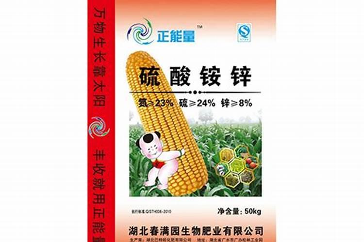 十月种什么花