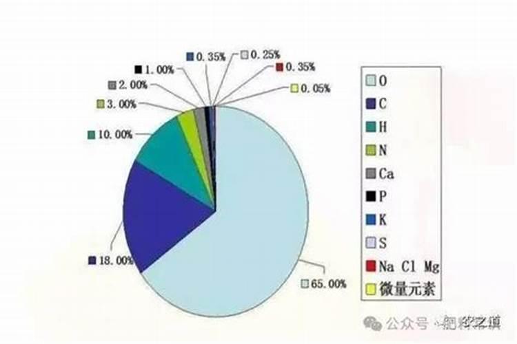 沼气液怎么利用