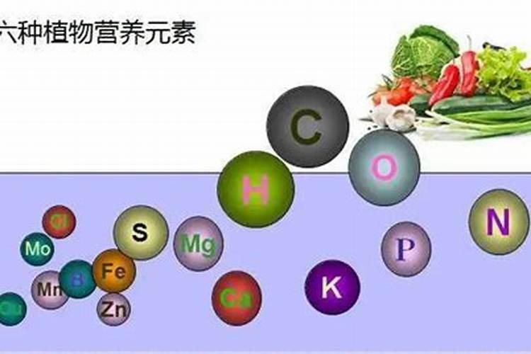 家庭天然硼肥有哪些