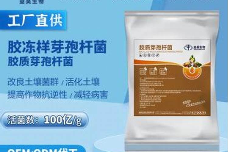菌肥的正确使用方法