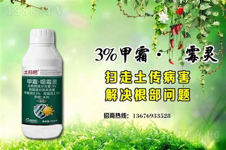 有机肥料化成水可以往花叶上喷吗？