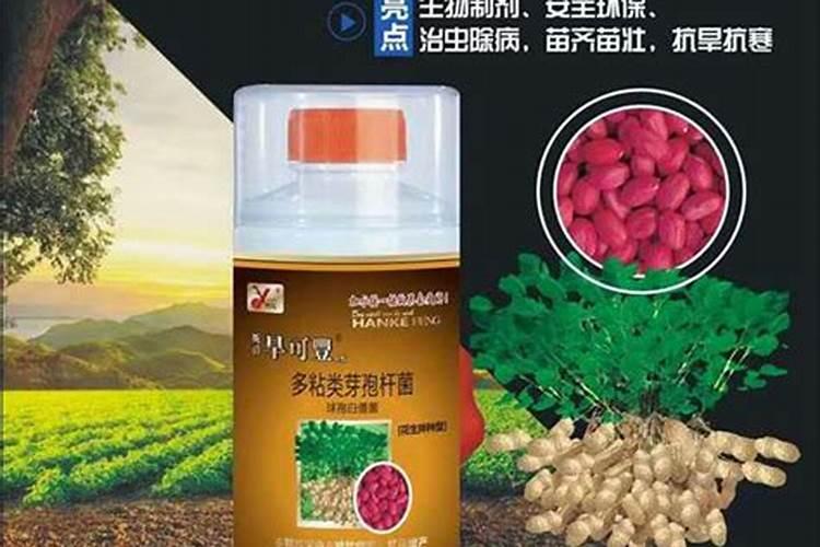 花生应该施含什么最多的肥