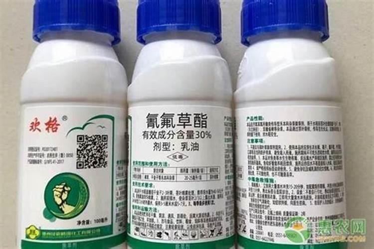 豆角蓟马害虫,用什药好？可否混合叶面肥或抑菌剂时喷施？谢